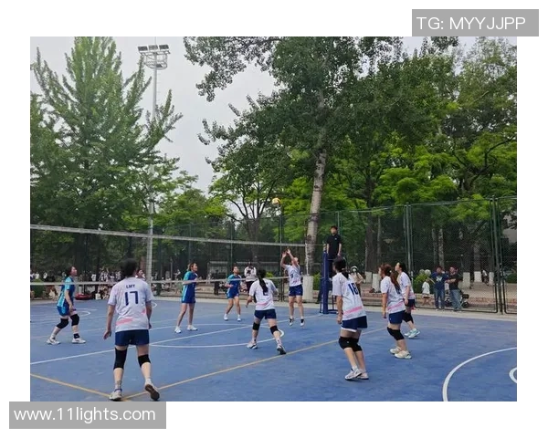 排球耐力排行榜揭晓北京排球队荣登第九位展现实力与拼搏精神